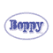 Boppy