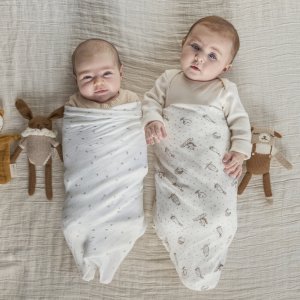 Lot de 2 langes en mousseline de coton healing nature Aden+anais essentials