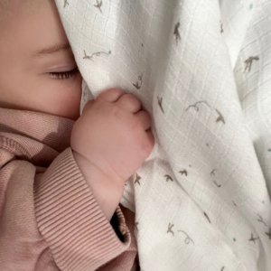 Lot de 2 langes en mousseline de coton healing nature Aden+anais essentials