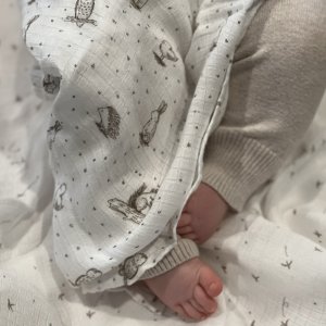 Lot de 2 langes en mousseline de coton healing nature Aden+anais essentials