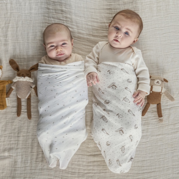 Lot de 2 langes en mousseline de coton healing nature Aden+anais essentials