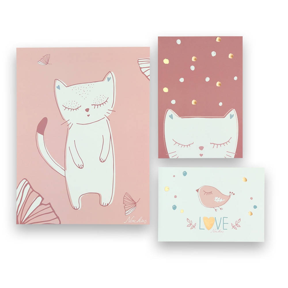 Lot De 3 Posters Imagine De Noukies Sur Allobebe