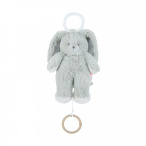 Peluche mini-musicale 20cm - verdi Noukies