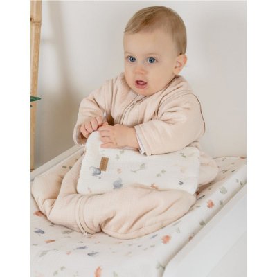 Protège carnet de santé - dino