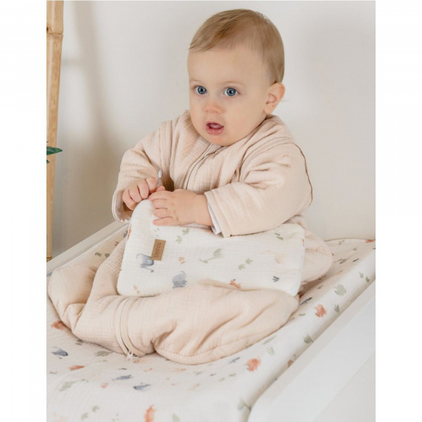 Protège carnet de santé - dino Noukies