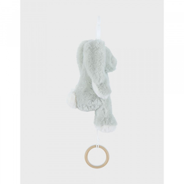 Peluche mini-musicale 20cm - verdi Noukies