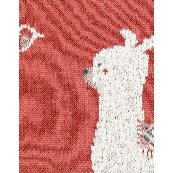 Pochette en jacquard rouge Noukies