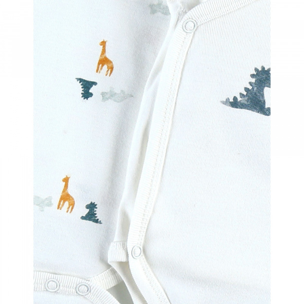 Lot de 2 bodies coton bio manches longues 9 mois - stegi tiga & ops Noukies