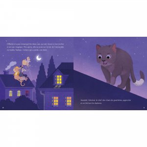 Livre enfant collection grisette - la petit souris part en mission Auzou