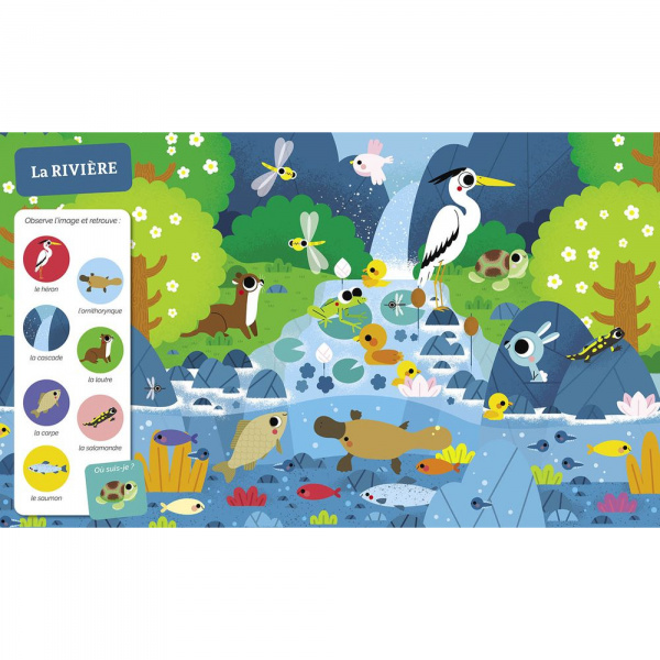 Livre collection cherche et trouve - monde Auzou