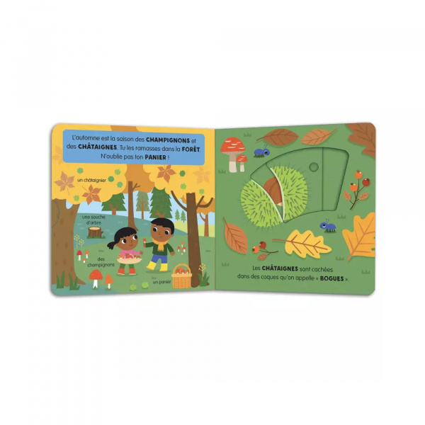 Livre enfant l'automne Auzou