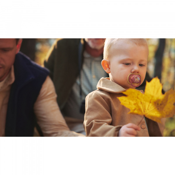 Lot de 2 sucettes ultra air 18 mois et plus scf349/49 Avent-philips