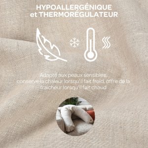 Coussin d’allaitement big flopsy lin naturel Beaba