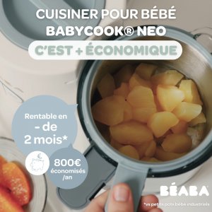 Robot babycook neo grey/white + lot de 2 pré-cuillères en silicone - terracotta/velvet grey + bol silicone ventouse - grey Beaba