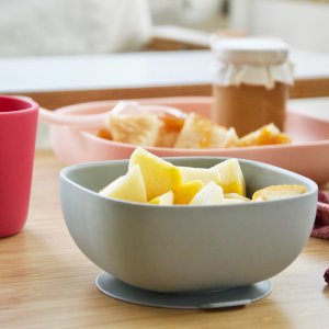Bol silicone ventouse grey Beaba