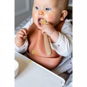 Lot de 2 cuillères silicone 1er âge avec boîte de transport argile et pralin Beaba