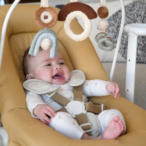 Arche de jeux pour transat up & down + Beaba