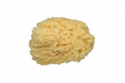 BEBECONFORT Eponge naturelle