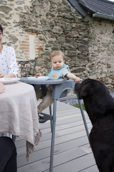 Chaise haute meely - dark grey Bebeconfort