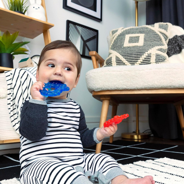 Jouet de dentition, set à réfrigérer, 3 mois et plus, multi Baby einstein