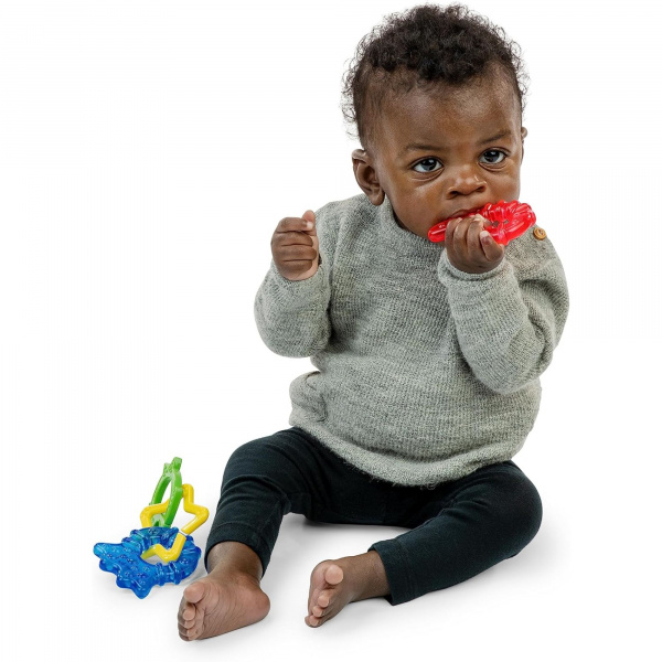 Jouet de dentition, set à réfrigérer, 3 mois et plus, multi Baby einstein