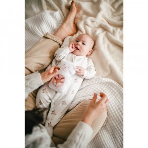 Ourson thérapeutique animaux Beke bobo