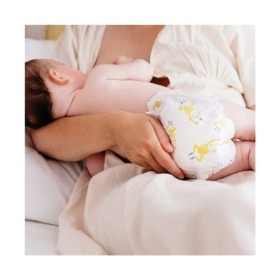 Couches bébé taille 1 pack 1 mois 168 couches