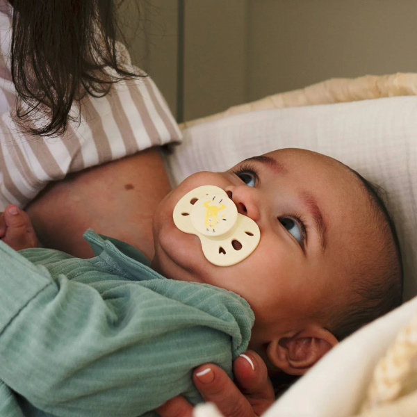 Lot de 2 sucettes anatomiques 0-6 mois animaux bleu et beige Biolane