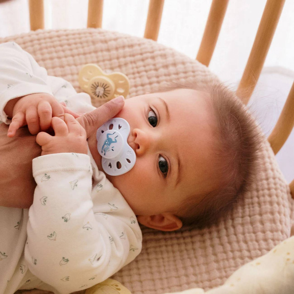 Lot de 2 sucettes anatomiques 18 mois+ animaux vert clair et foncé Biolane