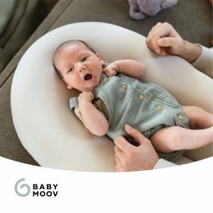Coussin doomoo Babymoov