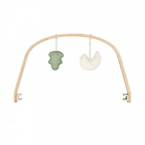 Transat bébé évolutif swoon flow bois + arche de jeux Babymoov