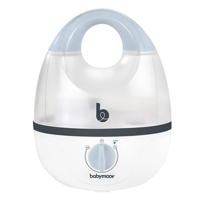 Pourquoi Et Comment Humidifier La Chambre De Bebe