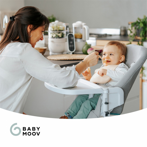 Robot de cuisine nutribaby+ industrial grey Babymoov