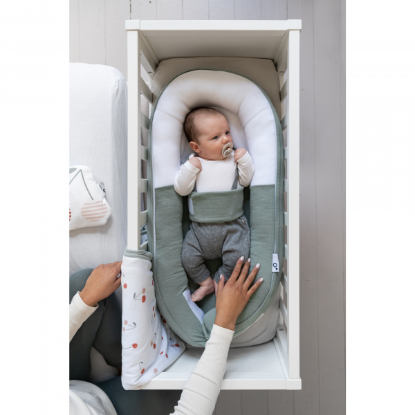 Réducteur de lit cocoon doomoo tetra green Babymoov