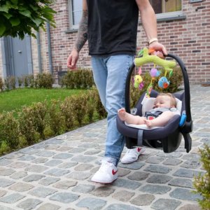 Jouet à suspendre arbre gazouillant Bo jungle