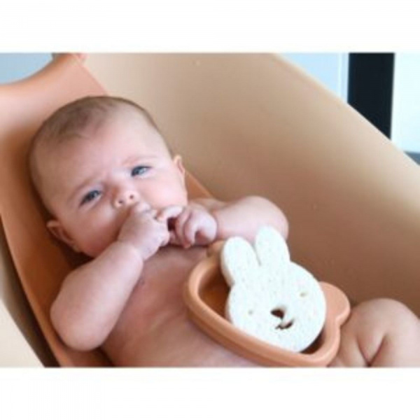 Lot de 3 éponges en pulpe de bois naturel Bo jungle