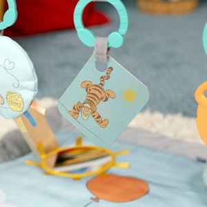 Tapis et arche d'éveil winnie l'ourson disney Bright starts