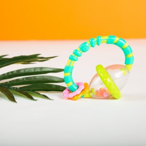 Hochet et anneau de dentition Bright starts