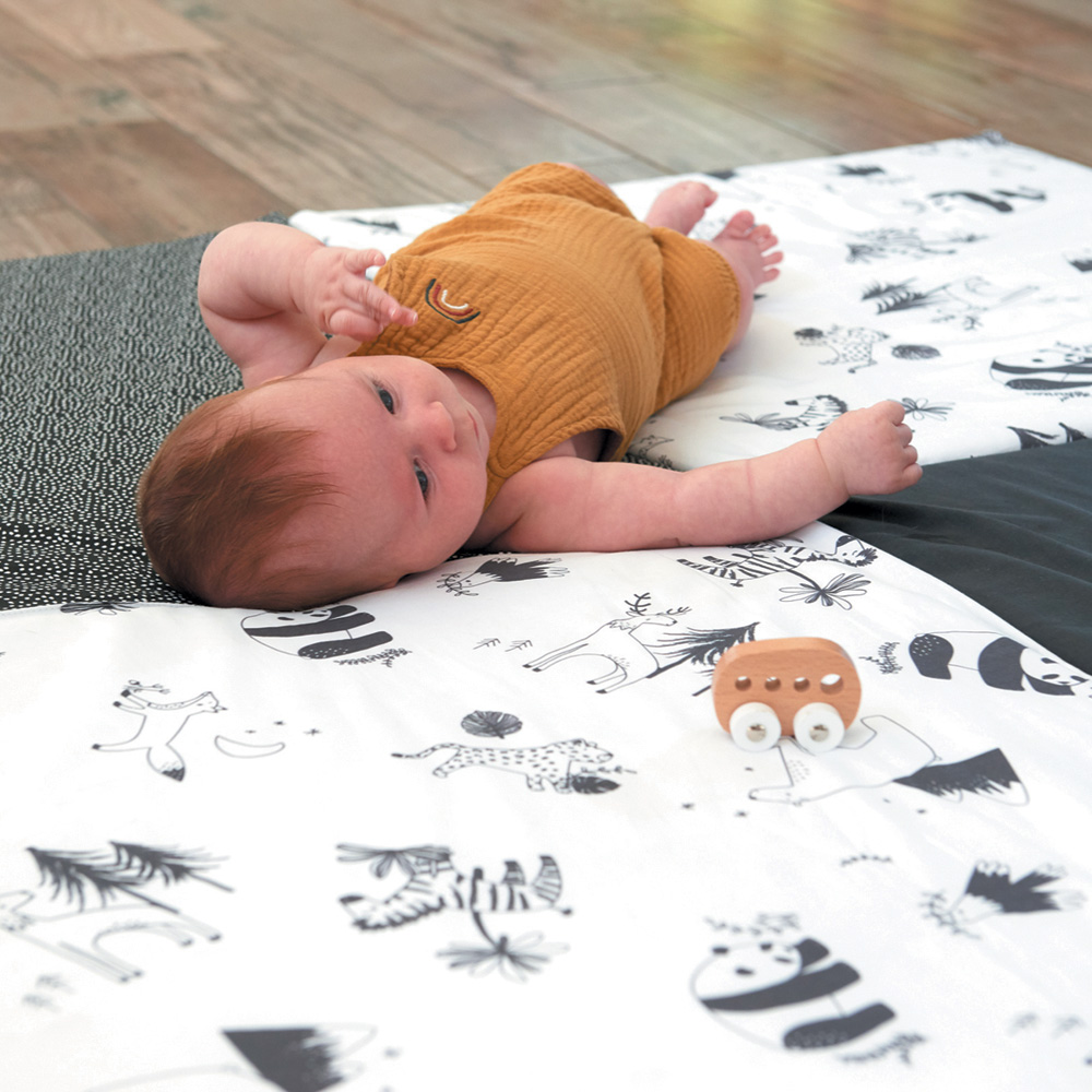Matelas Tapis De Motricite Xl De Candide Au Meilleur Prix Sur Allobebe