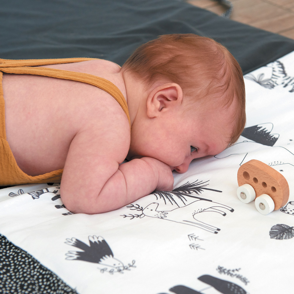 Matelas Tapis De Motricite Xl De Candide Au Meilleur Prix Sur Allobebe Matelas Tapis De Motricite Xl De Candide Au Meilleur Prix Sur Allobebe