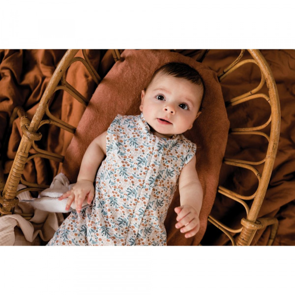 Gigoteuse d'emmaillotage 2 en 1 gaspard et lily - 0 à 3 mois Candide