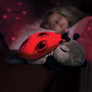 Veilleuse constellations cocccinelle rouge Cloud b