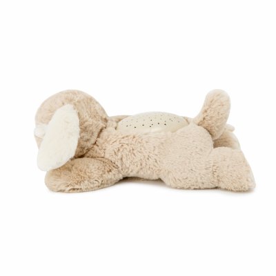 Peluche veilleuse bébé projection plafond chien dream buddies