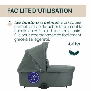 Nacelle flexi fir tree Chicco