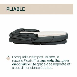 Nacelle flexi fir tree Chicco