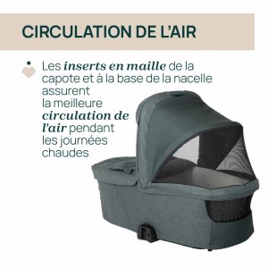 Nacelle flexi fir tree Chicco