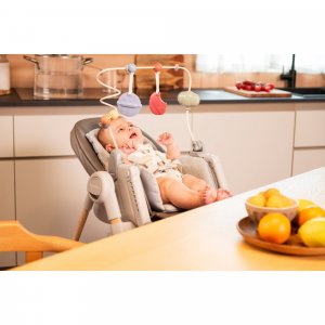 Polly armonia Chicco