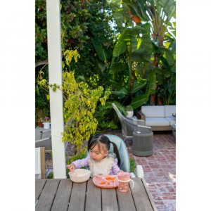 Coffret repas rose 12 mois Chicco