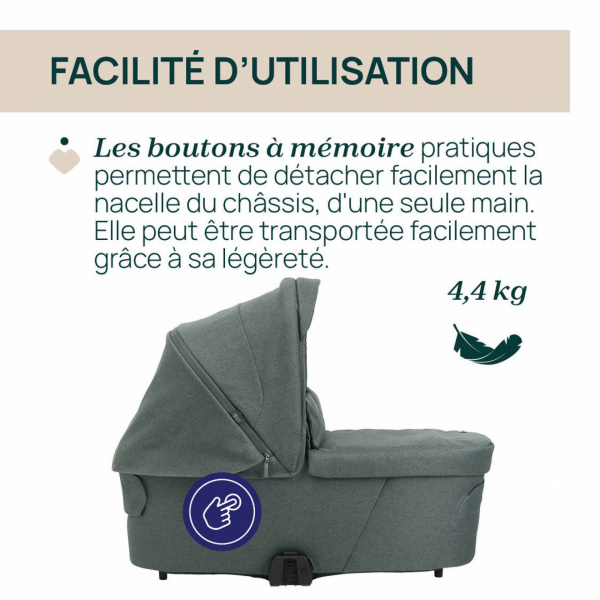 Nacelle flexi fir tree Chicco