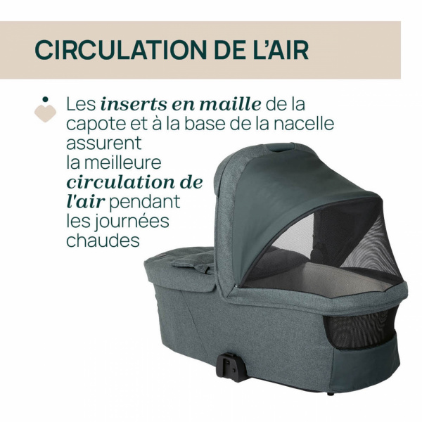 Nacelle flexi fir tree Chicco